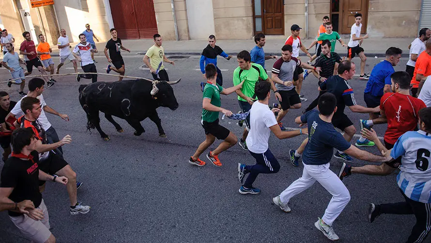 Último día del toro con soga 2017 en Lodosa con el hierro de Pincha. MIGUEL OSÉS (9)