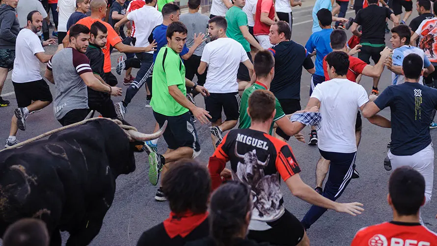 Último día del toro con soga 2017 en Lodosa con el hierro de Pincha. MIGUEL OSÉS (12)