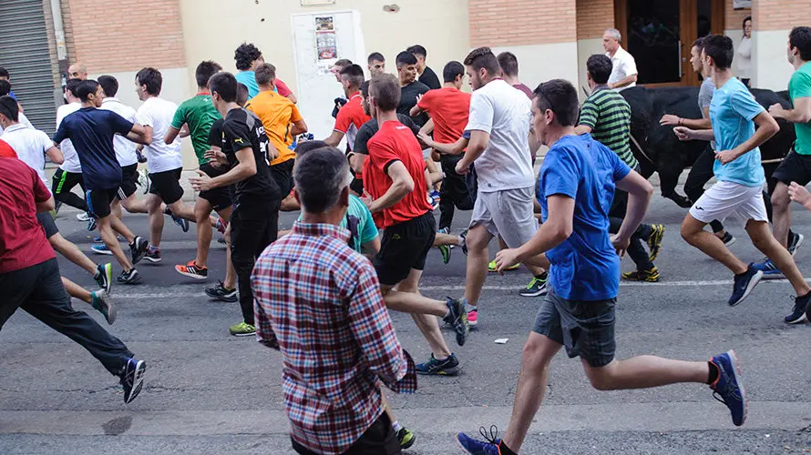 Último día del toro con soga 2017 en Lodosa con el hierro de Pincha. MIGUEL OSÉS (15)
