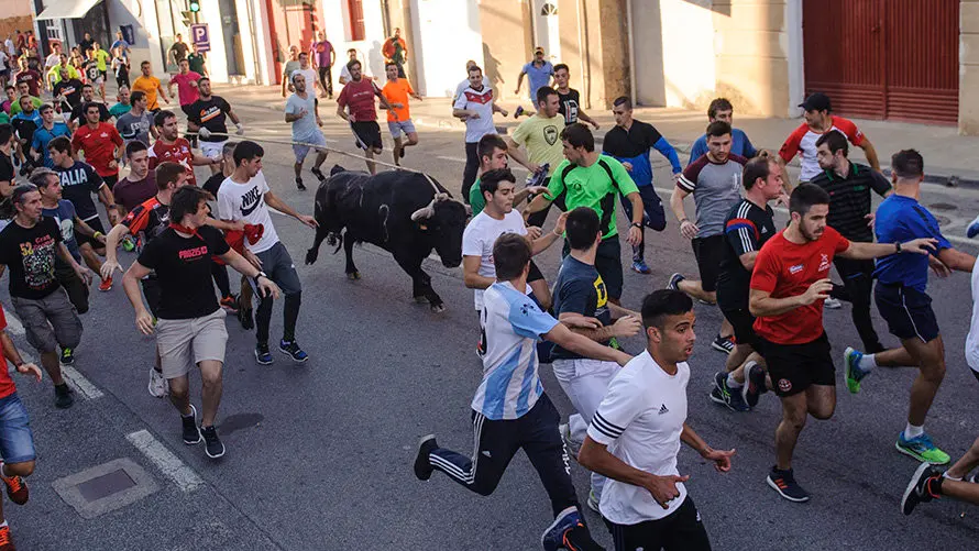 Último día del toro con soga 2017 en Lodosa con el hierro de Pincha. MIGUEL OSÉS (7)