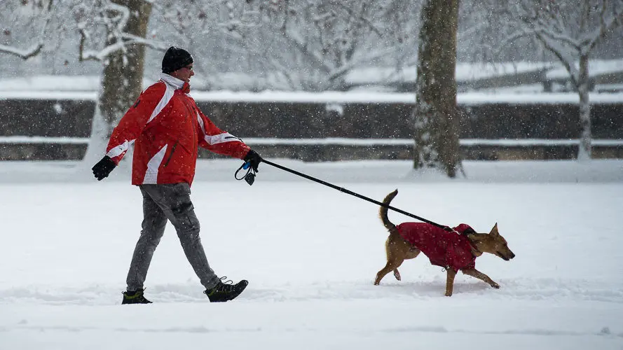 Nevada en Pamplona en el último día de febrero. PABLO LASAOSA 07