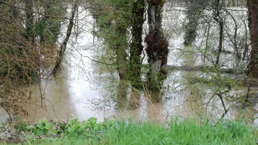 Inundaciones en Sangüesa CEDIDA (6)