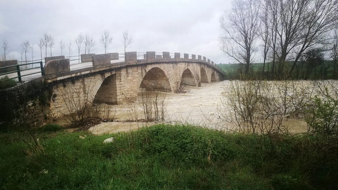 El río Arga a su paso por Ibero GUARDERÍO FORESTAL
