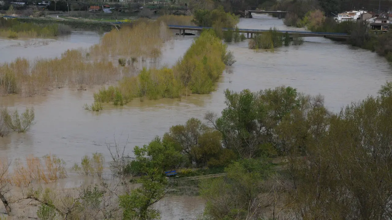 El río Aragón a su paso por Caparroso AMAYA LUQUI (2)