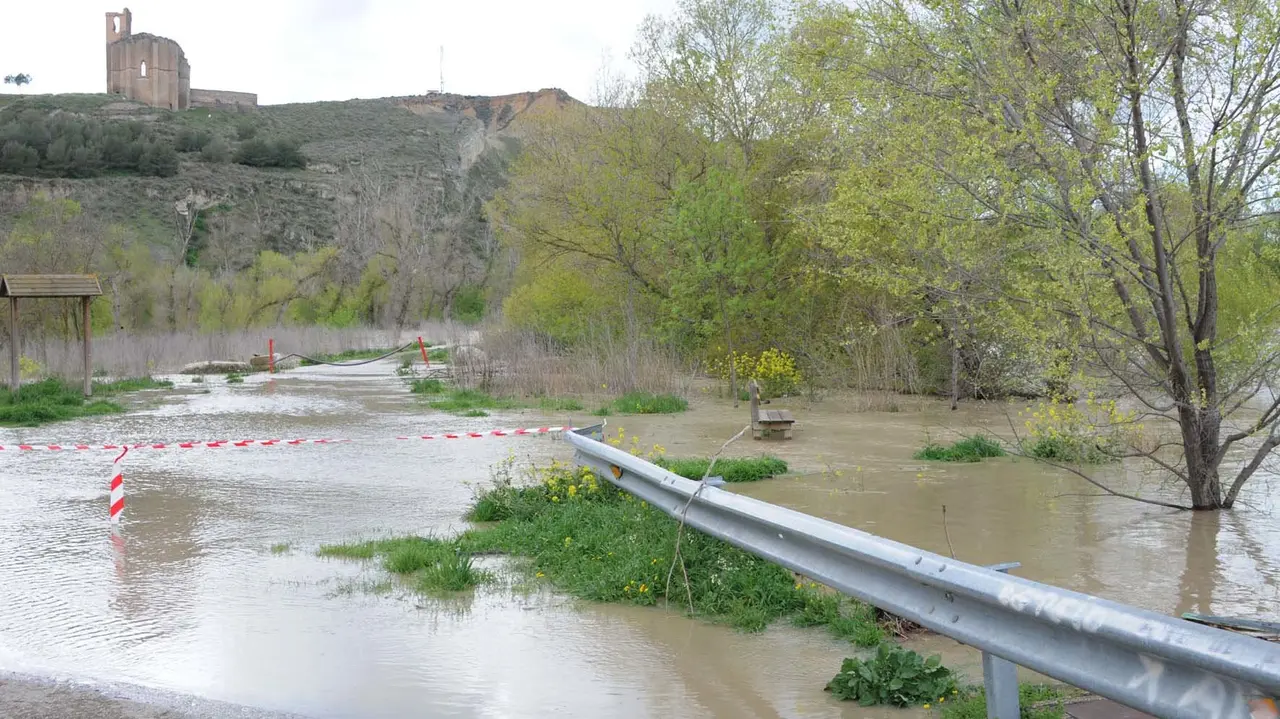 El río Aragón a su paso por Caparroso AMAYA LUQUI (3)