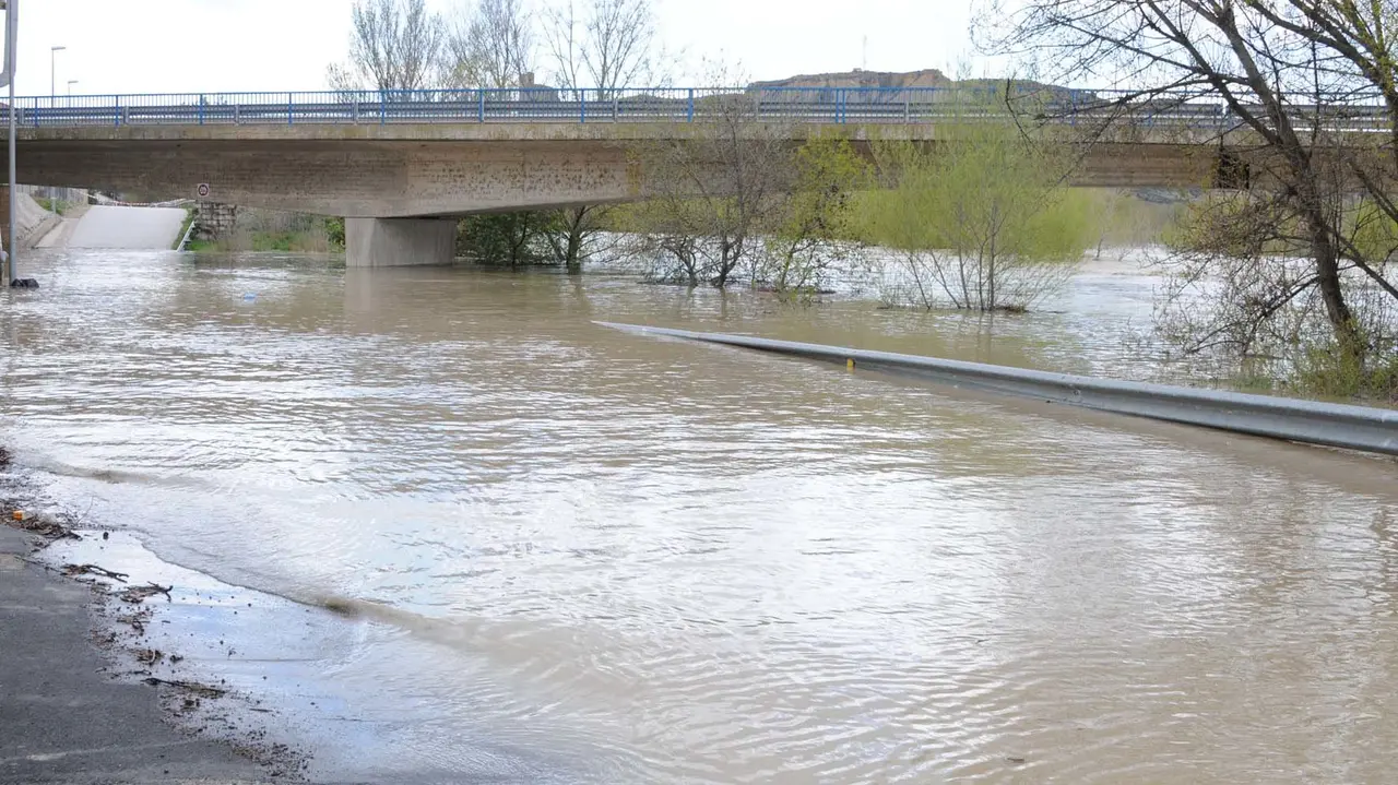 El río Aragón a su paso por Caparroso AMAYA LUQUI (4)