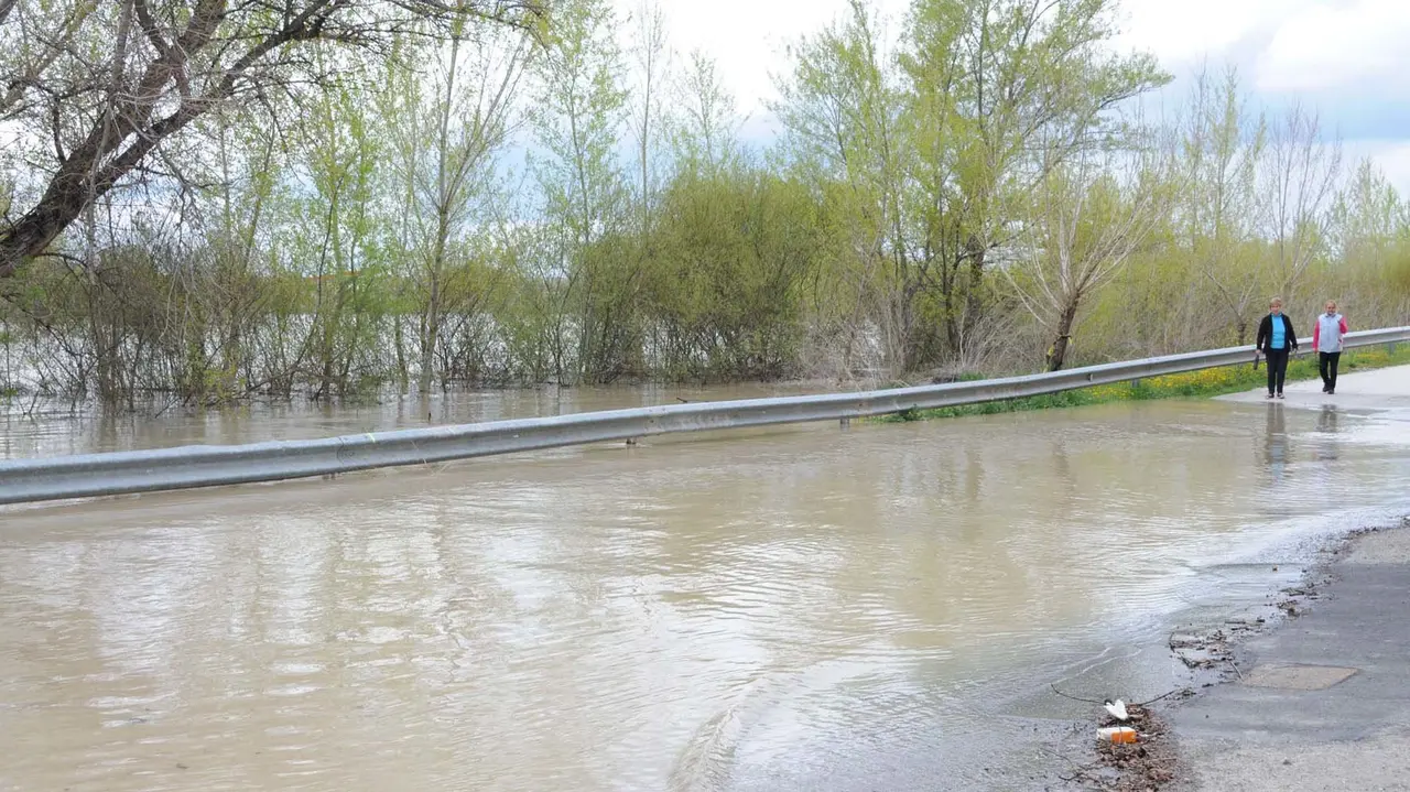 El río Aragón a su paso por Caparroso AMAYA LUQUI (5)