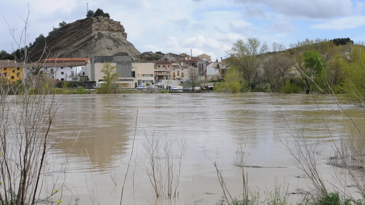 El río Aragón a su paso por Caparroso AMAYA LUQUI (7)