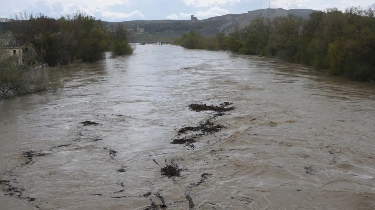 El río Aragón a su paso por Caparroso AMAYA LUQUI (8)