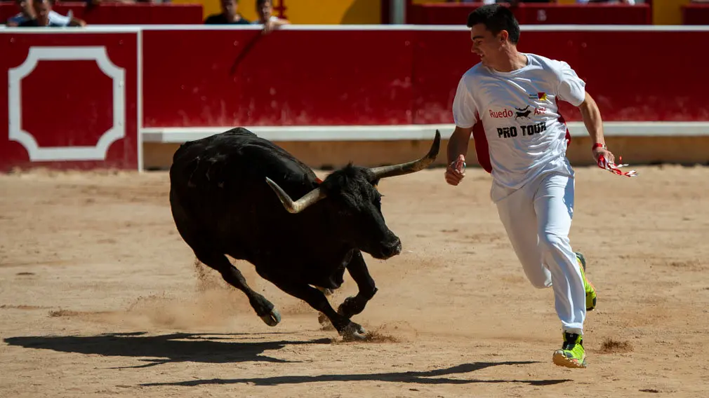 Concurso de anillas de los sanfermines de 2018 en la plaza de toros de Pamplona. MIGUEL OSÉS_2
