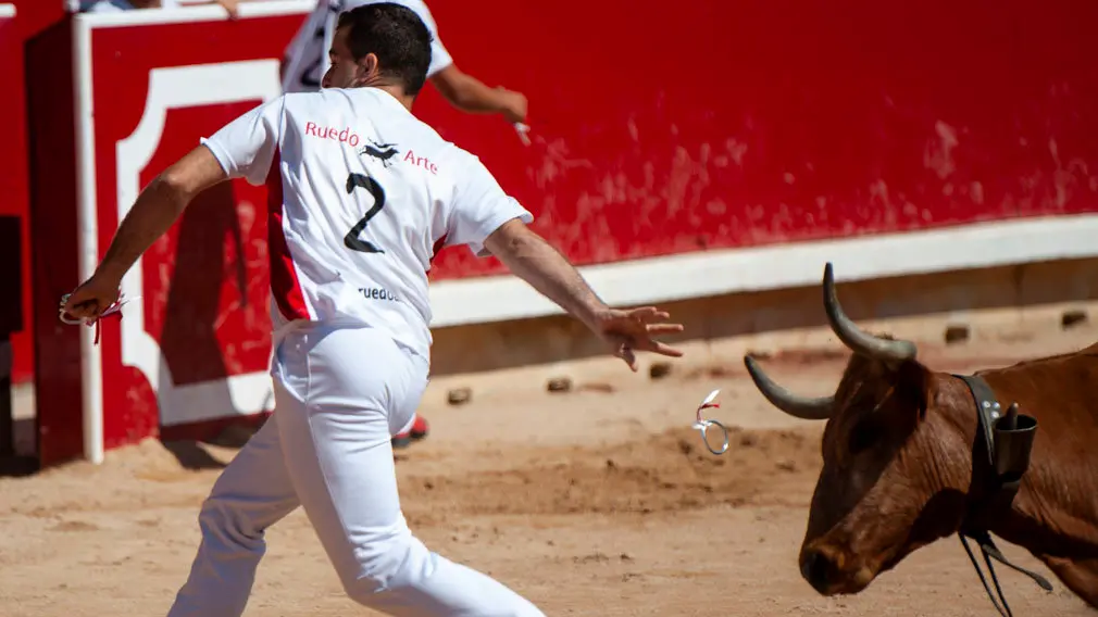 Concurso de anillas de los sanfermines de 2018 en la plaza de toros de Pamplona. MIGUEL OSÉS_5