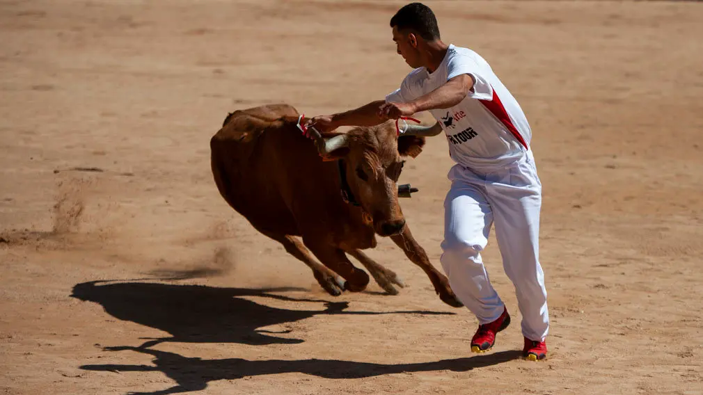 Concurso de anillas de los sanfermines de 2018 en la plaza de toros de Pamplona. MIGUEL OSÉS_6