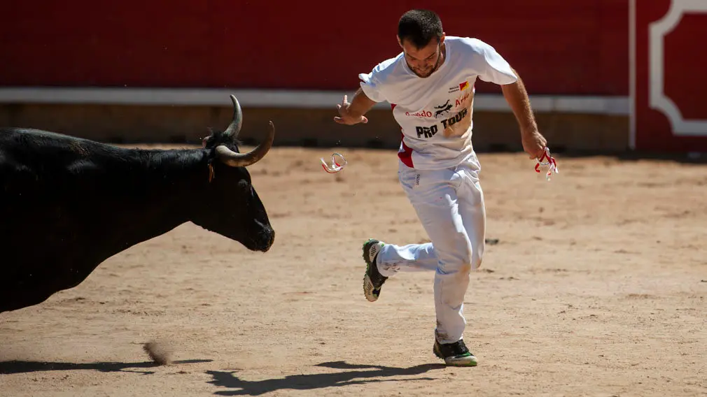 Concurso de anillas de los sanfermines de 2018 en la plaza de toros de Pamplona. MIGUEL OSÉS_9