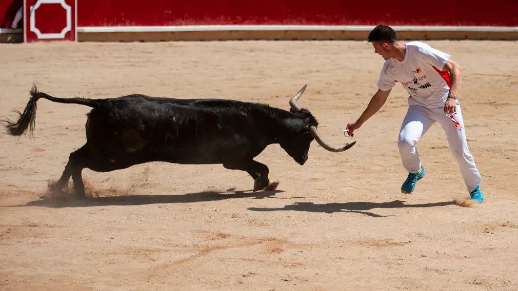 Concurso de anillas de los sanfermines de 2018 en la plaza de toros de Pamplona. MIGUEL OSÉS_10