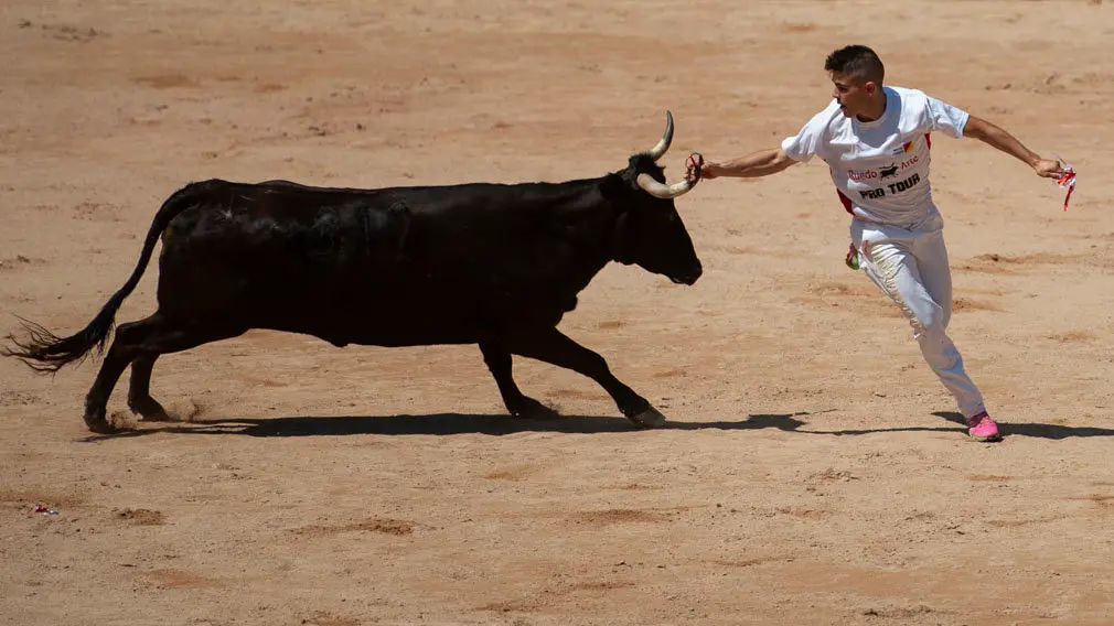 Concurso de anillas de los sanfermines de 2018 en la plaza de toros de Pamplona. MIGUEL OSÉS_11