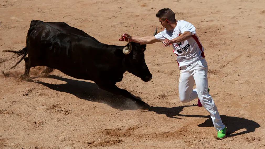 Concurso de anillas de los sanfermines de 2018 en la plaza de toros de Pamplona. MIGUEL OSÉS_12