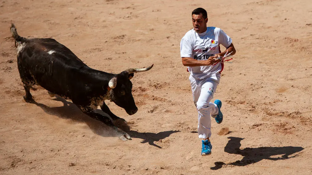 Concurso de anillas de los sanfermines de 2018 en la plaza de toros de Pamplona. MIGUEL OSÉS_19