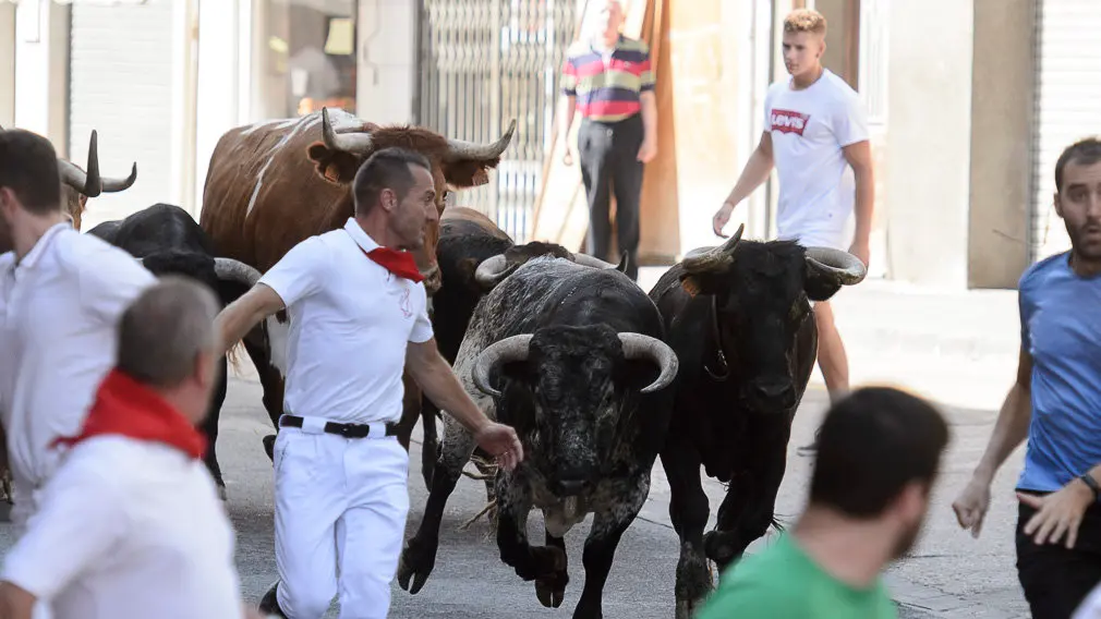 Encierro por las calles de San Adrián durante sus fiestas de 2018. PABLO LASAOSA 01
