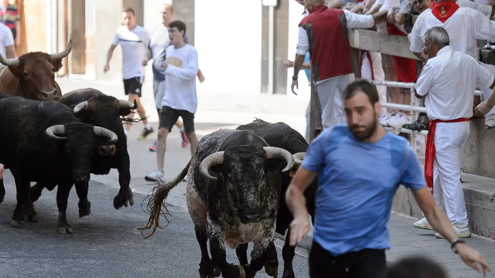 Encierro por las calles de San Adrián durante sus fiestas de 2018. PABLO LASAOSA 02