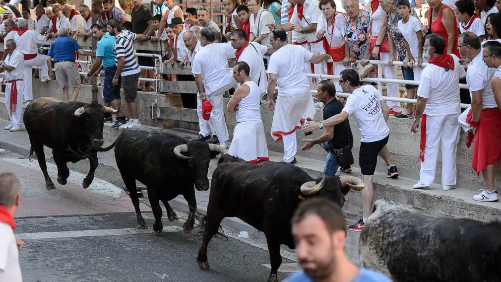Encierro por las calles de San Adrián durante sus fiestas de 2018. PABLO LASAOSA 03