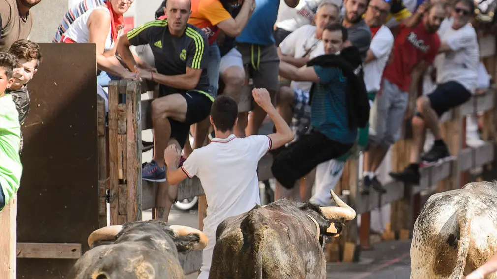 Encierro por las calles de San Adrián durante sus fiestas de 2018. PABLO LASAOSA 04