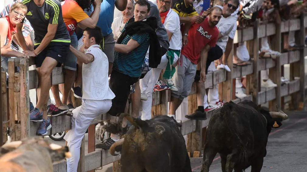 Encierro por las calles de San Adrián durante sus fiestas de 2018. PABLO LASAOSA 05