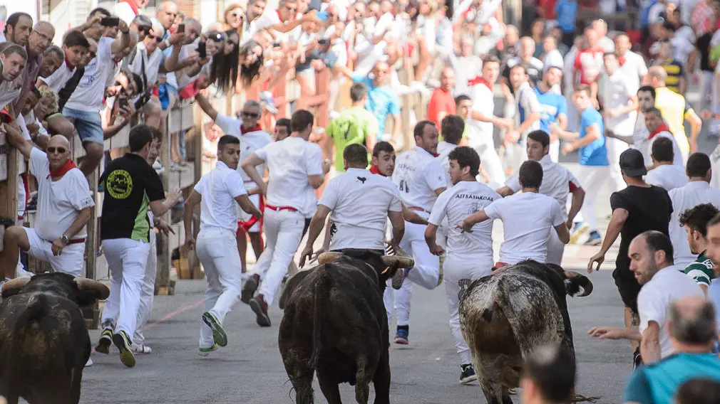Encierro por las calles de San Adrián durante sus fiestas de 2018. PABLO LASAOSA 06