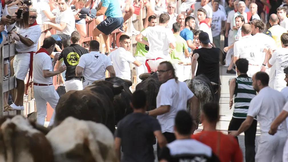 Encierro por las calles de San Adrián durante sus fiestas de 2018. PABLO LASAOSA 07
