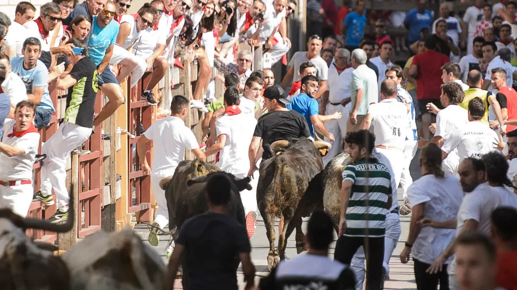 Encierro por las calles de San Adrián durante sus fiestas de 2018. PABLO LASAOSA 08