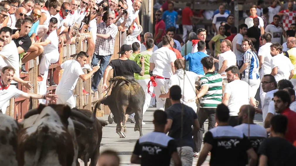 Encierro por las calles de San Adrián durante sus fiestas de 2018. PABLO LASAOSA 09