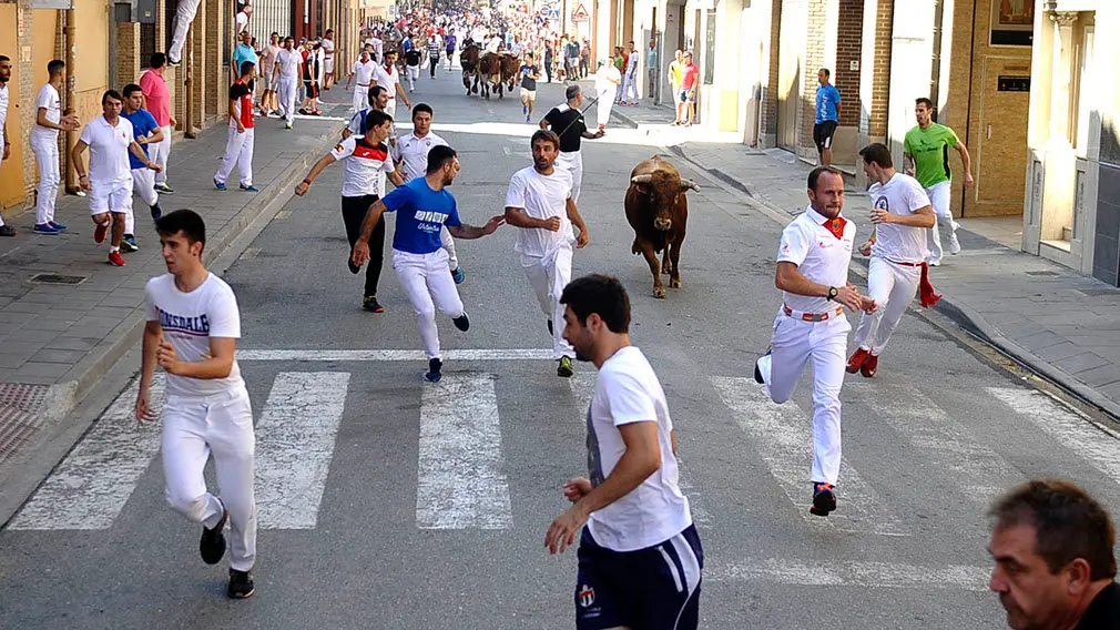 Penútimo encierro de las fiestas de San Adrián de 2018. MIGUEL OSÉS (1)