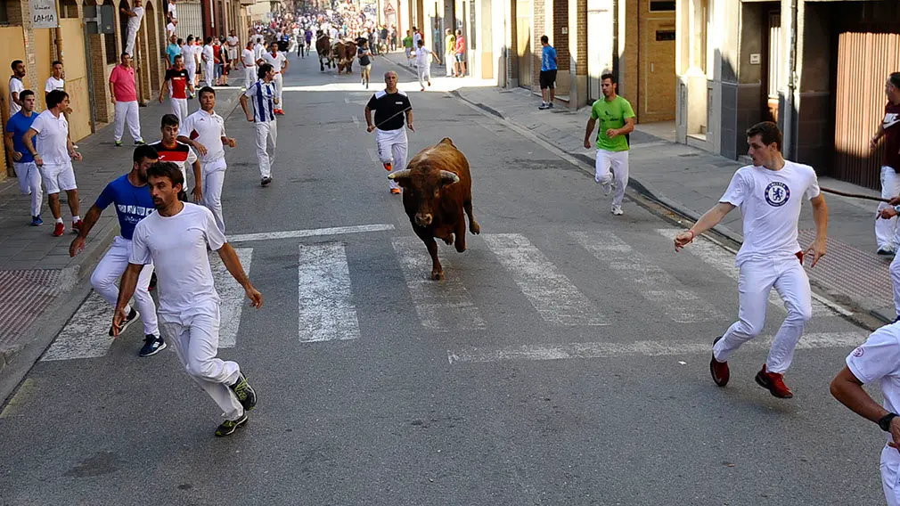 Penútimo encierro de las fiestas de San Adrián de 2018. MIGUEL OSÉS (2)