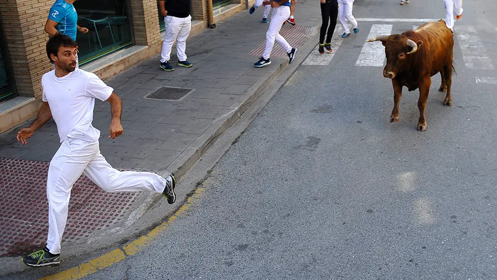 Penútimo encierro de las fiestas de San Adrián de 2018. MIGUEL OSÉS (3)