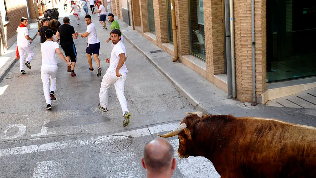 Penútimo encierro de las fiestas de San Adrián de 2018. MIGUEL OSÉS (4)
