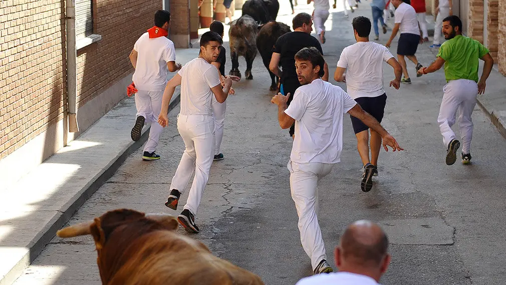 Penútimo encierro de las fiestas de San Adrián de 2018. MIGUEL OSÉS (5)
