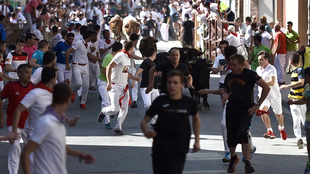 Penútimo encierro de las fiestas de San Adrián de 2018. MIGUEL OSÉS (7)