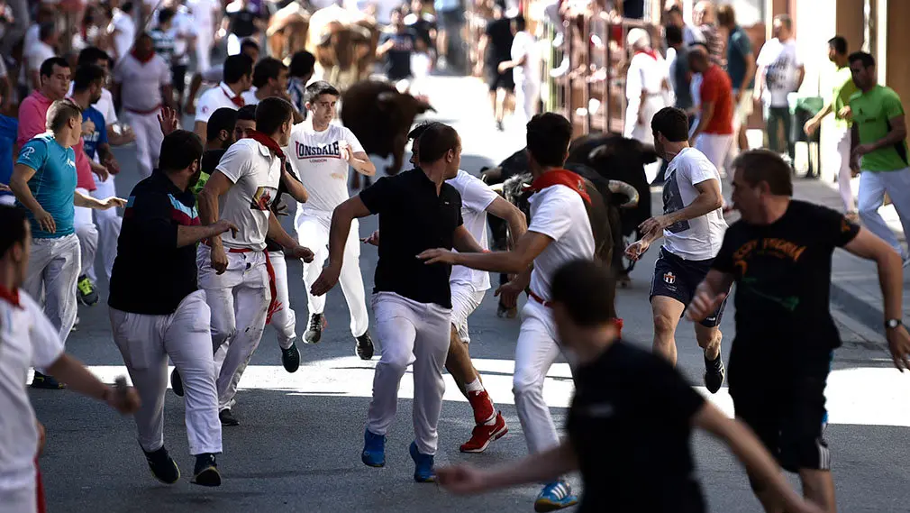 Penútimo encierro de las fiestas de San Adrián de 2018. MIGUEL OSÉS (8)
