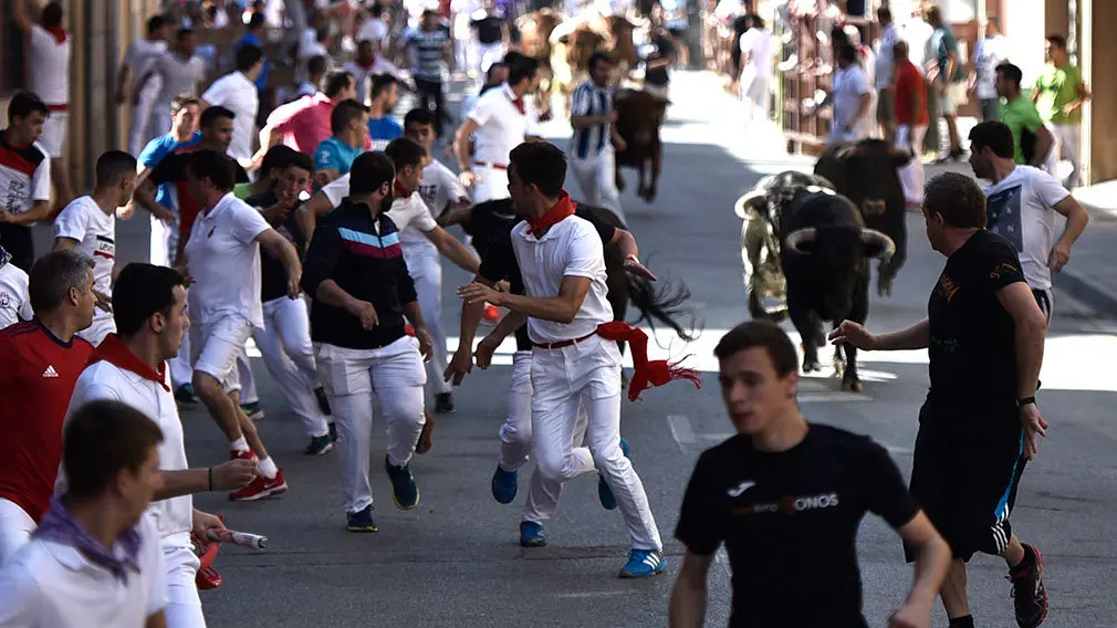 Penútimo encierro de las fiestas de San Adrián de 2018. MIGUEL OSÉS (9)