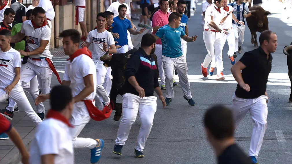 Penútimo encierro de las fiestas de San Adrián de 2018. MIGUEL OSÉS (10)
