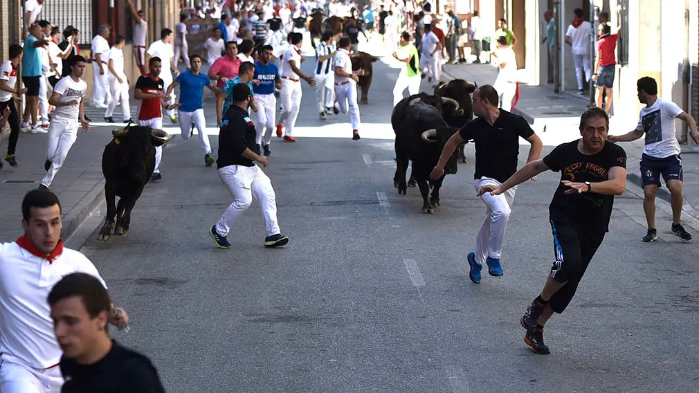 Penútimo encierro de las fiestas de San Adrián de 2018. MIGUEL OSÉS (11)