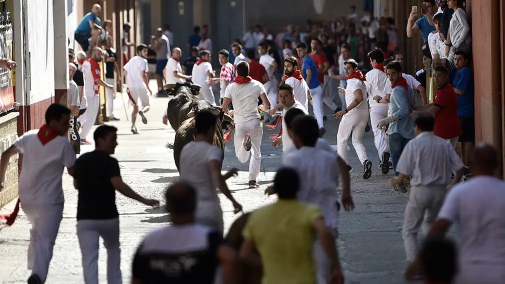 Penútimo encierro de las fiestas de San Adrián de 2018. MIGUEL OSÉS (12)