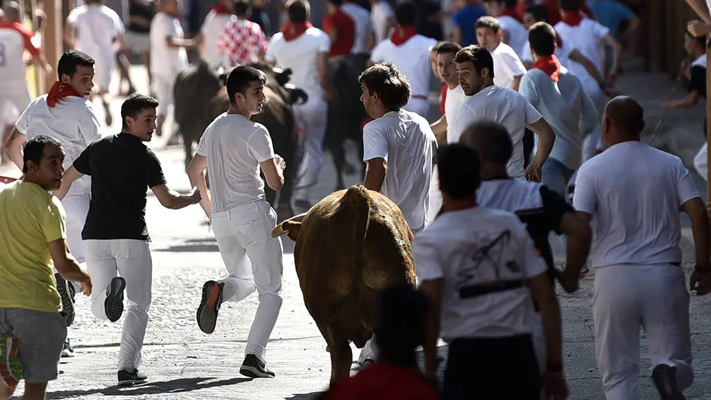 Penútimo encierro de las fiestas de San Adrián de 2018. MIGUEL OSÉS (13)