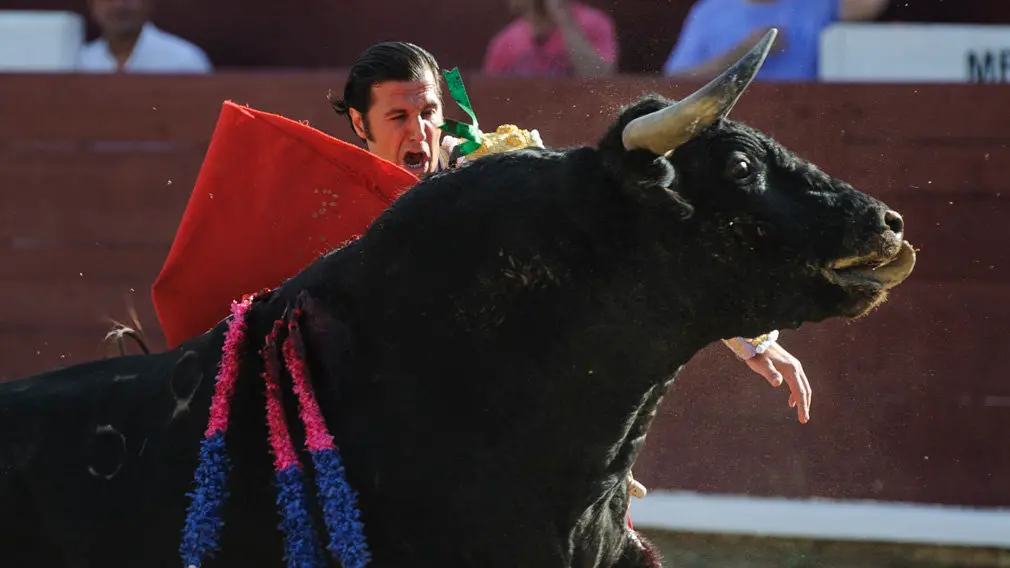 Primera corrida de la feria de Estella de 2018. MIGUEL OSÉS_12