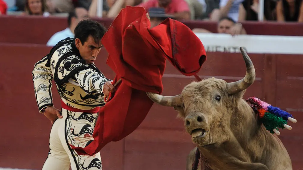 Primera corrida de la feria de Estella de 2018. MIGUEL OSÉS_34