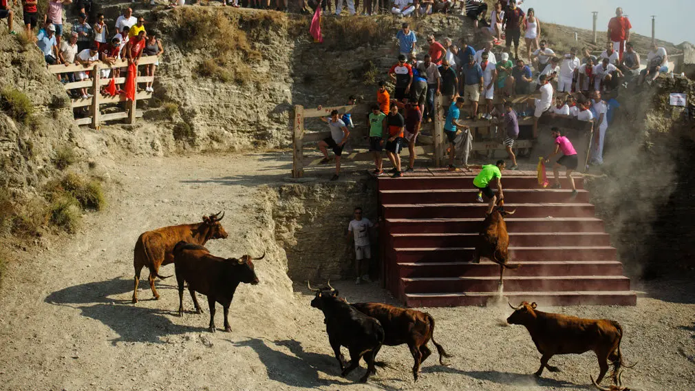 Encierro del estrecho de Arguedas 2018 con la ganaderia Arriazu de Ablitas. MIGUEL OSÉS_12