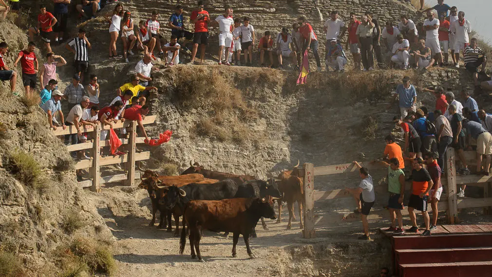 Encierro del estrecho en Arguedas durante las fiestas de 2018. PL04