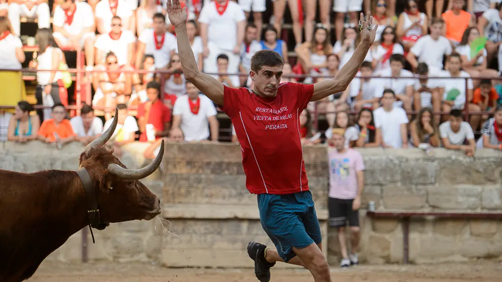 Suelta de vacas durante las fiestas de Carcastillo 2018. PABLO LASAOSA 01