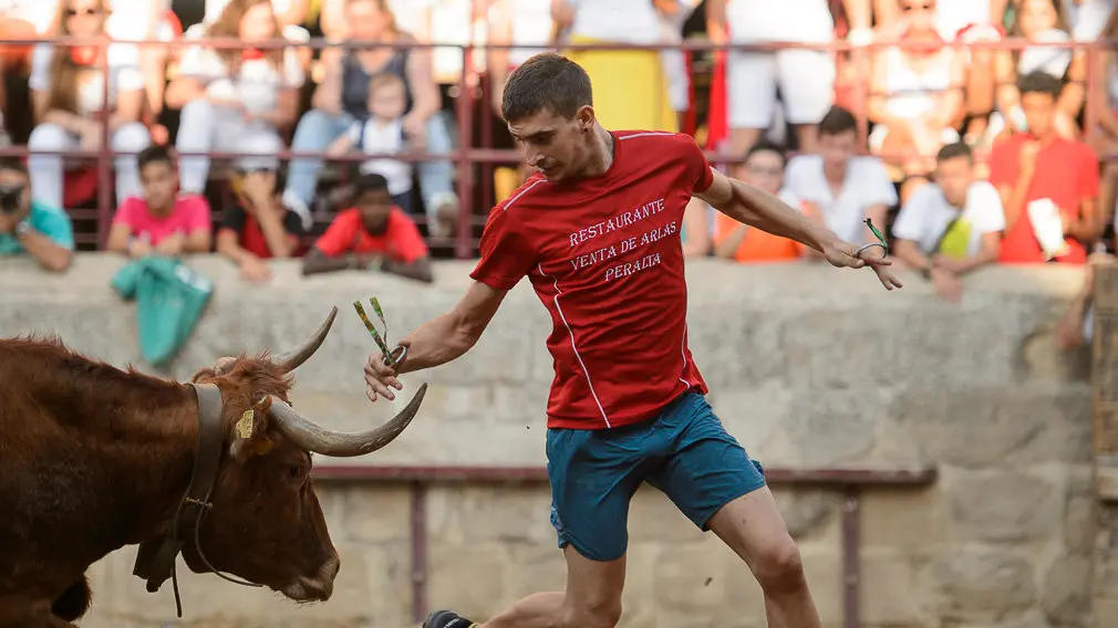 Suelta de vacas durante las fiestas de Carcastillo 2018. PABLO LASAOSA 03