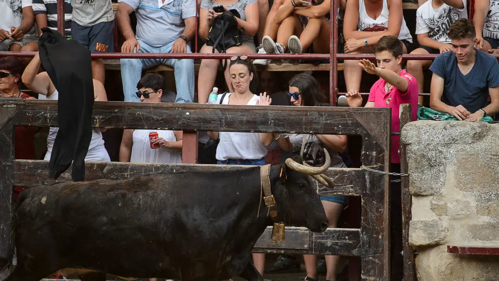 Suelta de vacas durante las fiestas de Carcastillo 2018. PABLO LASAOSA 06