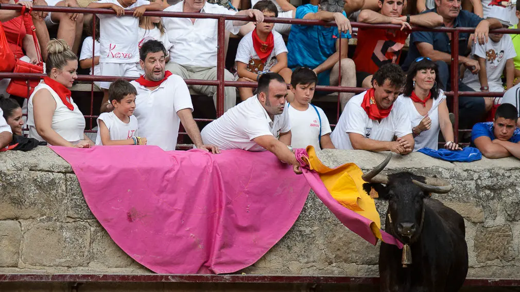Suelta de vacas durante las fiestas de Carcastillo 2018. PABLO LASAOSA 07